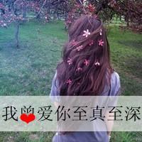 唯美女头带字