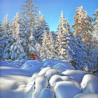 微信头像雪景图片