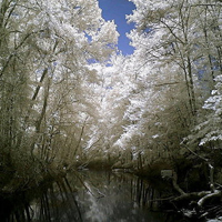 微信头像雪景图片