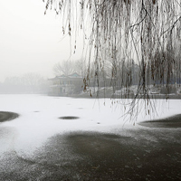 微信头像雪景图片