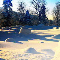 微信头像雪景图片