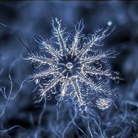 微信头像雪景图片