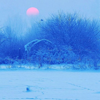 微信头像雪景图片