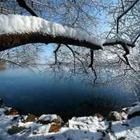 微信头像雪景图片