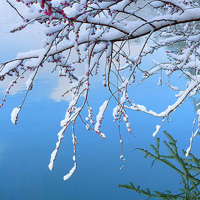 微信头像雪景图片