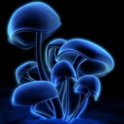 超美的唯美发光qq头像图片