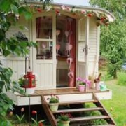 唯美窗边开满鲜花头像图片