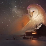 梦幻夜晚星空风景头像图片