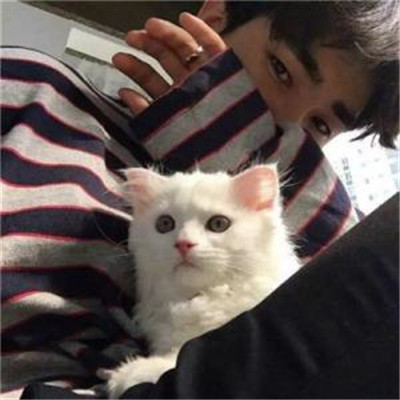 QQ头像男生抱着猫