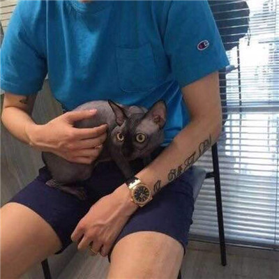 QQ头像男生抱着猫