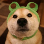 超萌可爱的柴犬情头一对两张