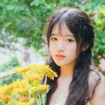 唯美清新森系女头图片