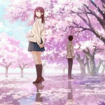 浪漫唯美樱花树下情头图片