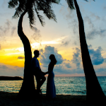 浪漫夕阳椰子树下情头图片