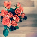 唯美复古风花朵头像图片