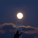 拿梯子摘月头像图片