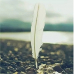 清新意境羽毛头像图片