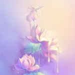 修身养性佛系静心莲花头像图片