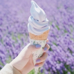 薰衣草清新甜蜜冰淇淋头像图片