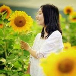 唯美女生向日葵头像图片