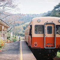 街道风景头像