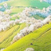 QQ头像清新风景