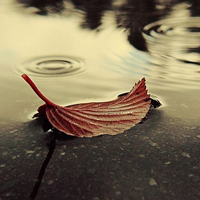 微信头像雨过天晴风景