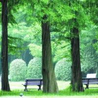 雨过天晴微信头像