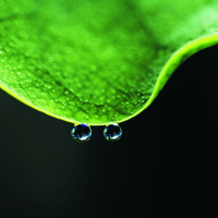 雨过天晴微信头像