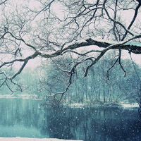 微信头像风景雪