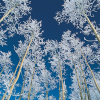 微信头像风景雪