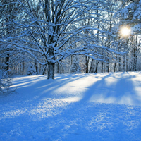 QQ头像雪景图片