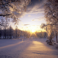 微信头像唯美雪景