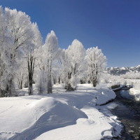 微信头像唯美雪景