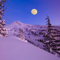 微信头像唯美雪景