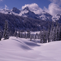 微信头像唯美雪景