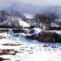 微信头像唯美雪景