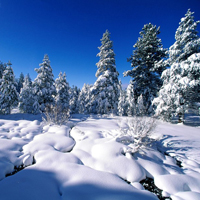 微信头像唯美雪景