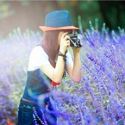 唯美薰衣草女生头像图片