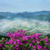 微信头像意境唯美风景