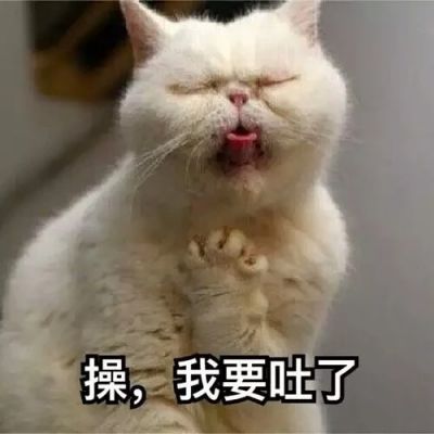 可爱猫咪带字头像