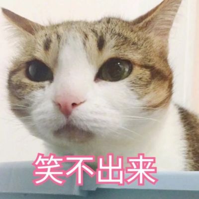 可爱猫咪带字头像