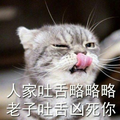 可爱猫咪带字头像图片