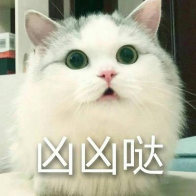 可爱猫咪带字头像图片