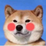 可爱贱萌情侣头像