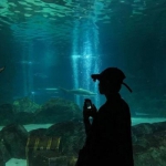 情头真人唯美一对两张分开图片