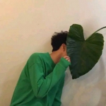 真人情头明显 一人一半图片