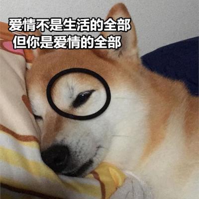 狗狗带字高清头像图片