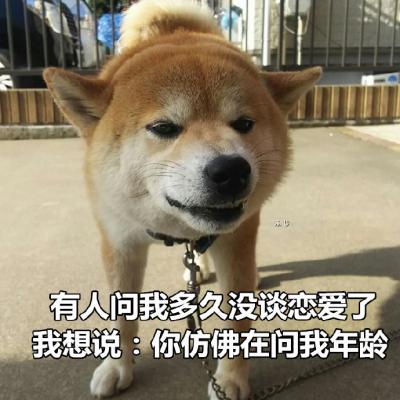 狗狗带字高清头像图片