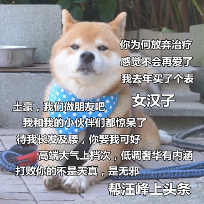 狗狗带字高清头像图片